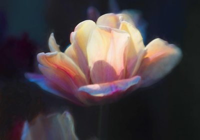 Emergence III by Helen White